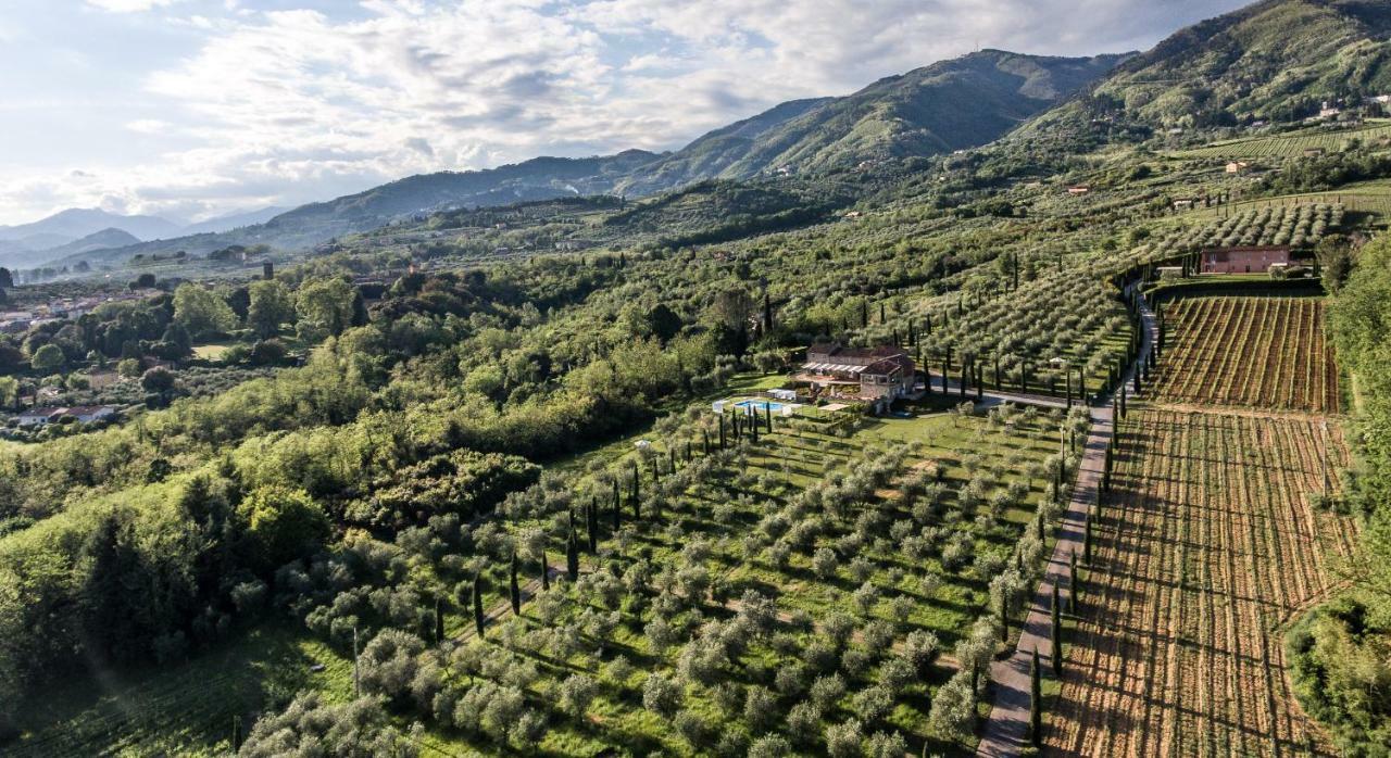 Accogliente Alloggio Con Vista E Piscina Lucca Kültér fotó